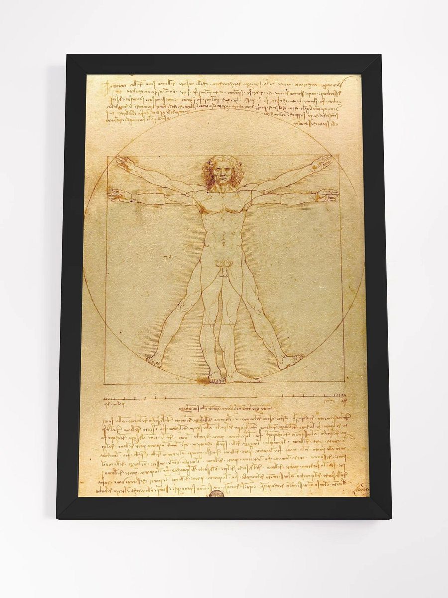 Human product image (4)