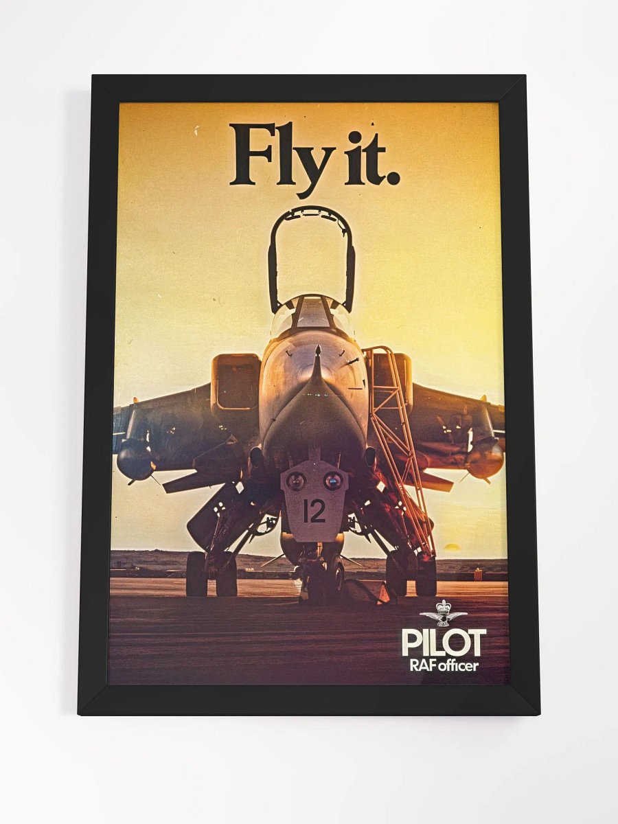 Fly it. product image (4)