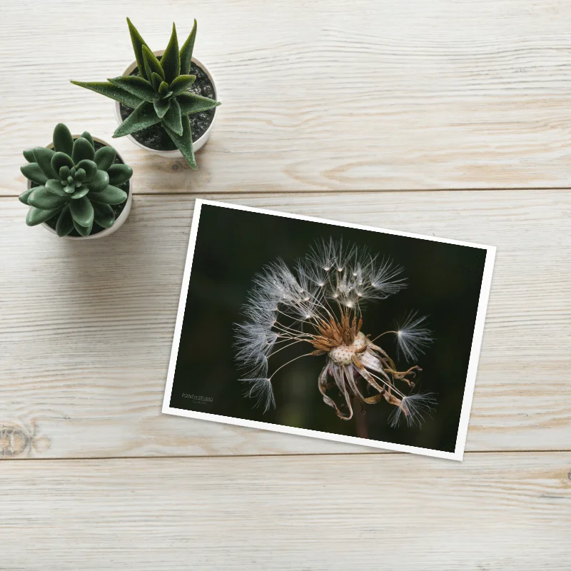 Flock of Wishes Greeting Card product image (1)