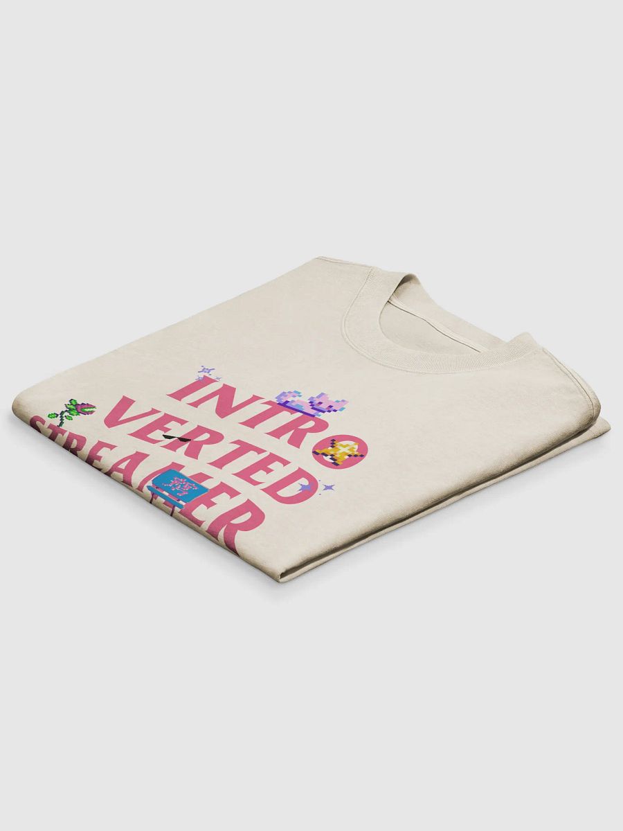 Introverted Streamer Club "Pixel-Elated" Oversized Tee product image (15)