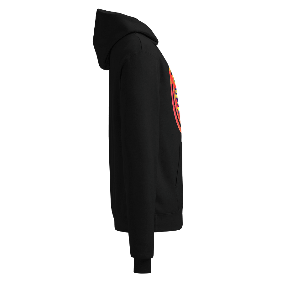 SUN LIT Champion Hoodie product image (4)