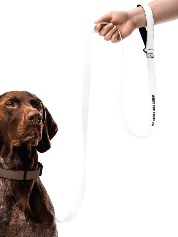 What The Fluff Pet Leash (Combine with WTF! Collar) product image (2)