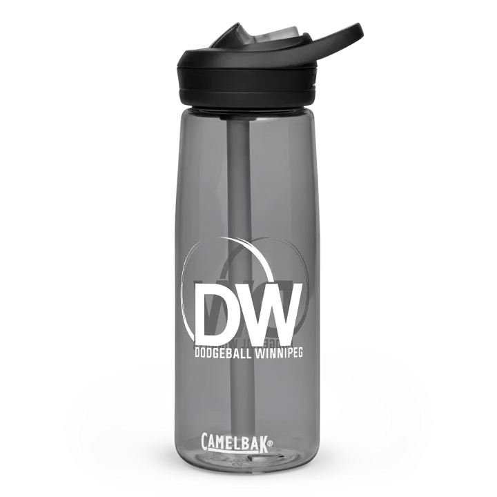 Dodgeball Winnipeg Water Bottle product image (1)