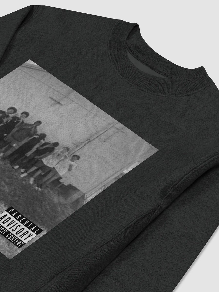 Explicit Comfort Champion TTSL Sweatshirt product image (3)