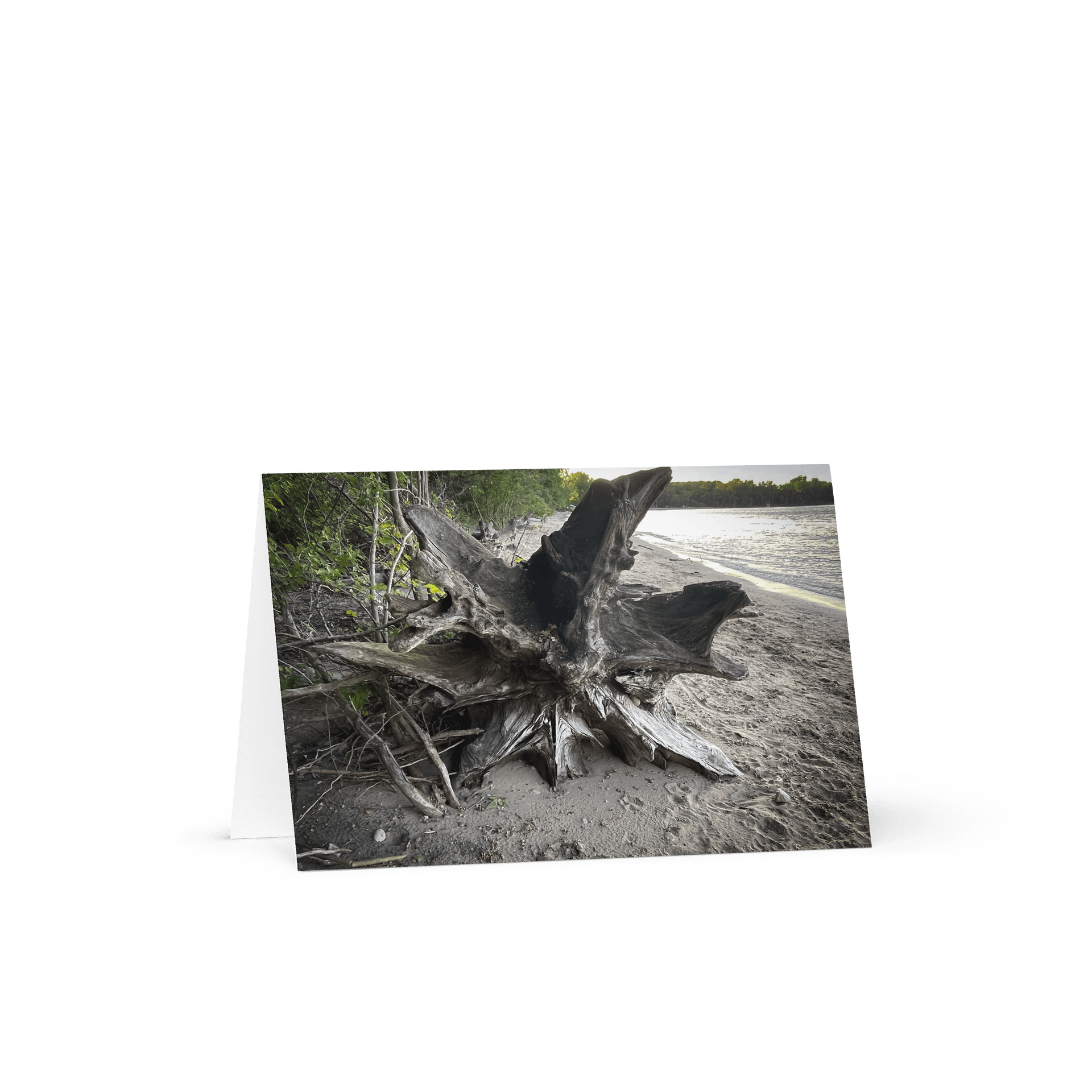 Rooted Serenity Greeting Card product image (1)
