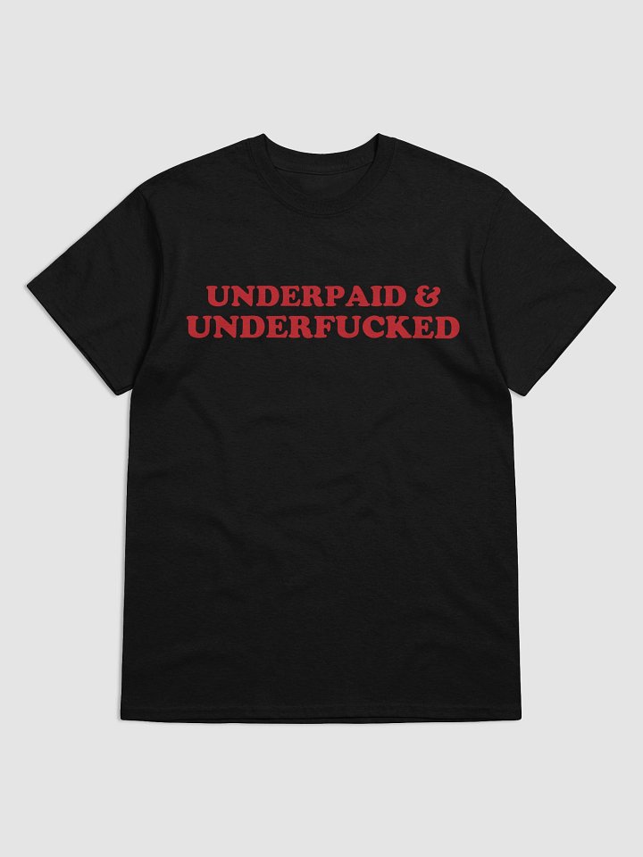 Underpaid product image (1)