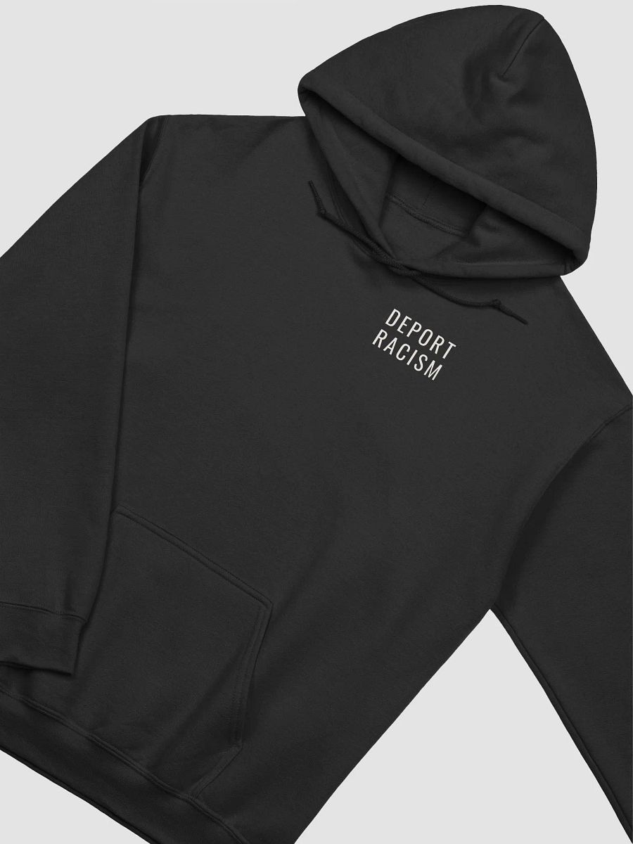 Back to Your Continent Hoodie product image (3)