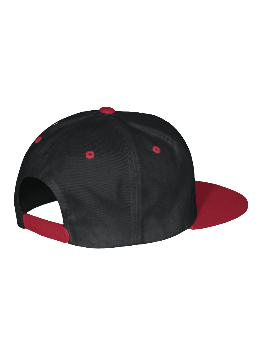TEA Embroidered Snapback product image (22)