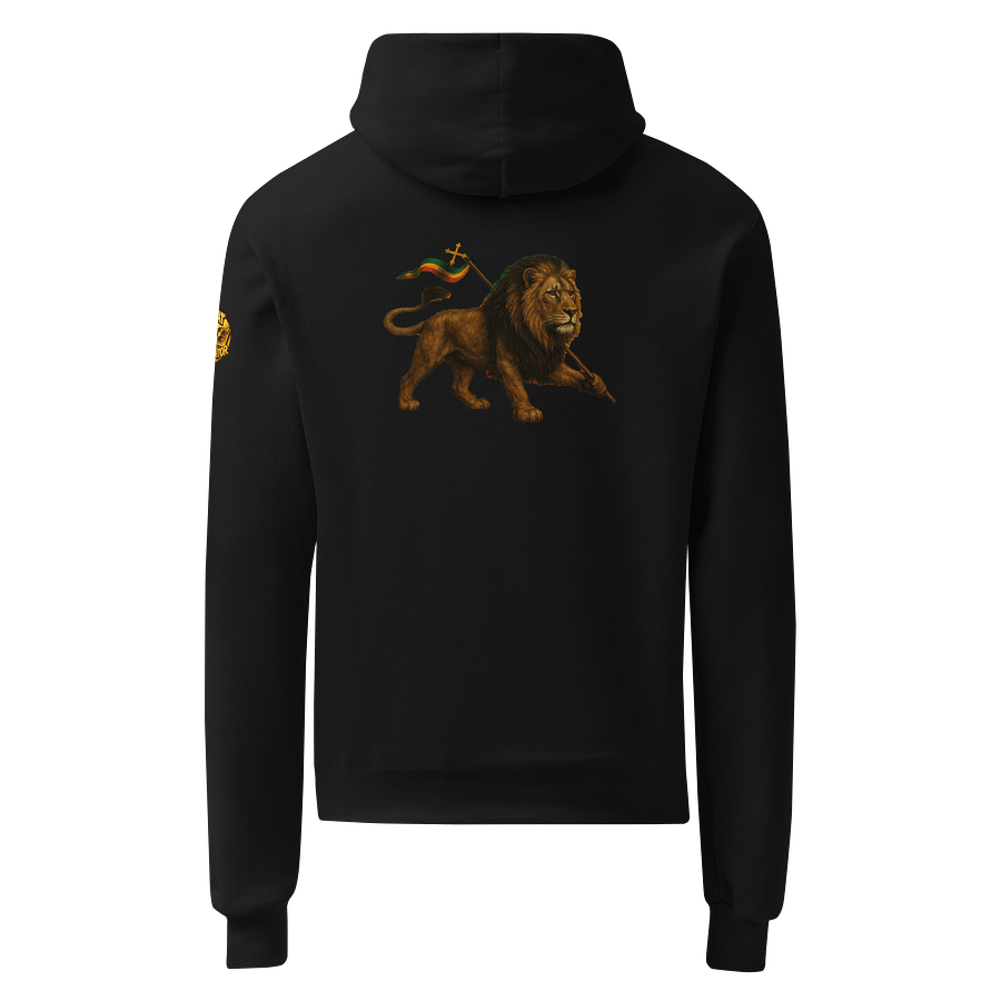 Lion Champion Hoodie product image (1)