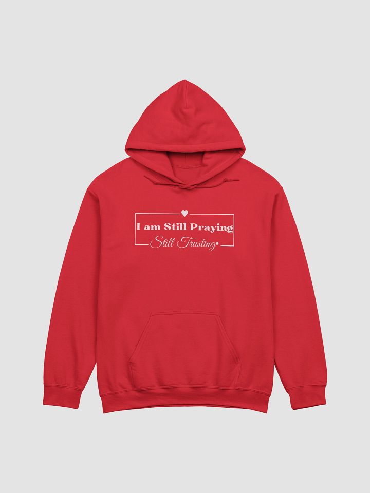I am Still Praying, Still Trusting Gildan Hoodie. product image (5)