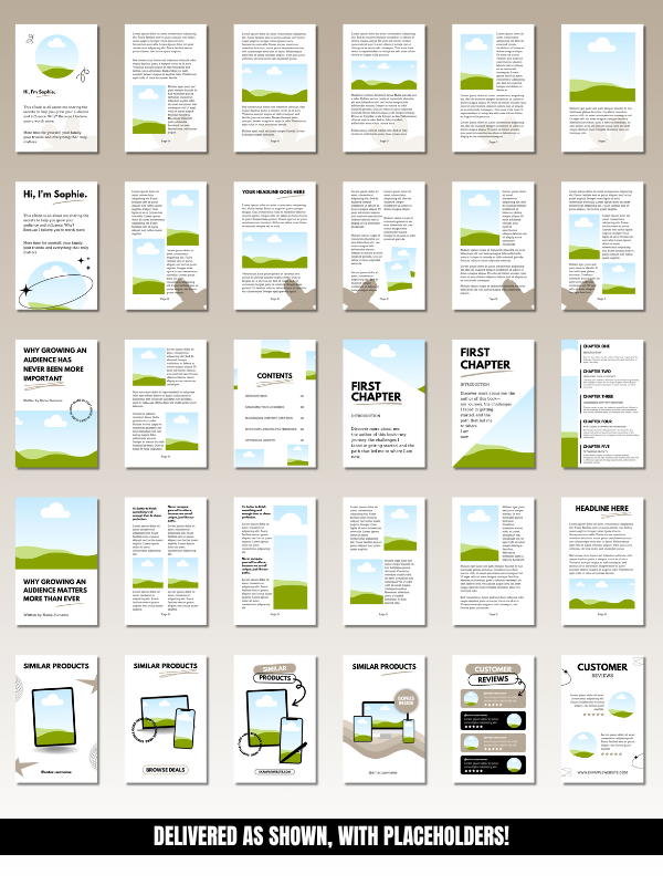 MRR/PLR Editable eBook Template in Canva product image (7)
