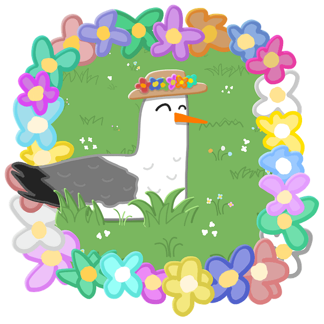 Daisy Gull