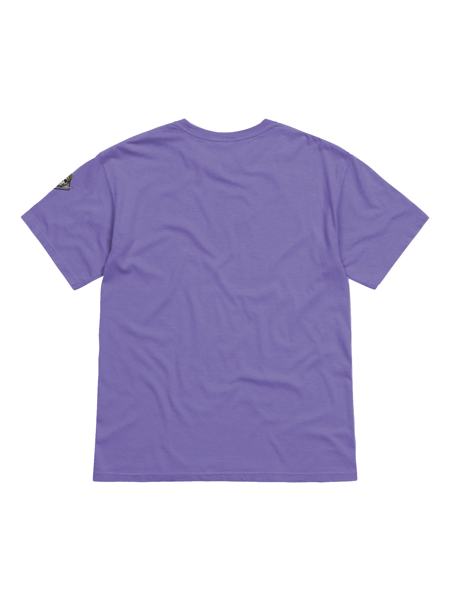 Skull & Crossed Swords Military T-Shirt product image (6)