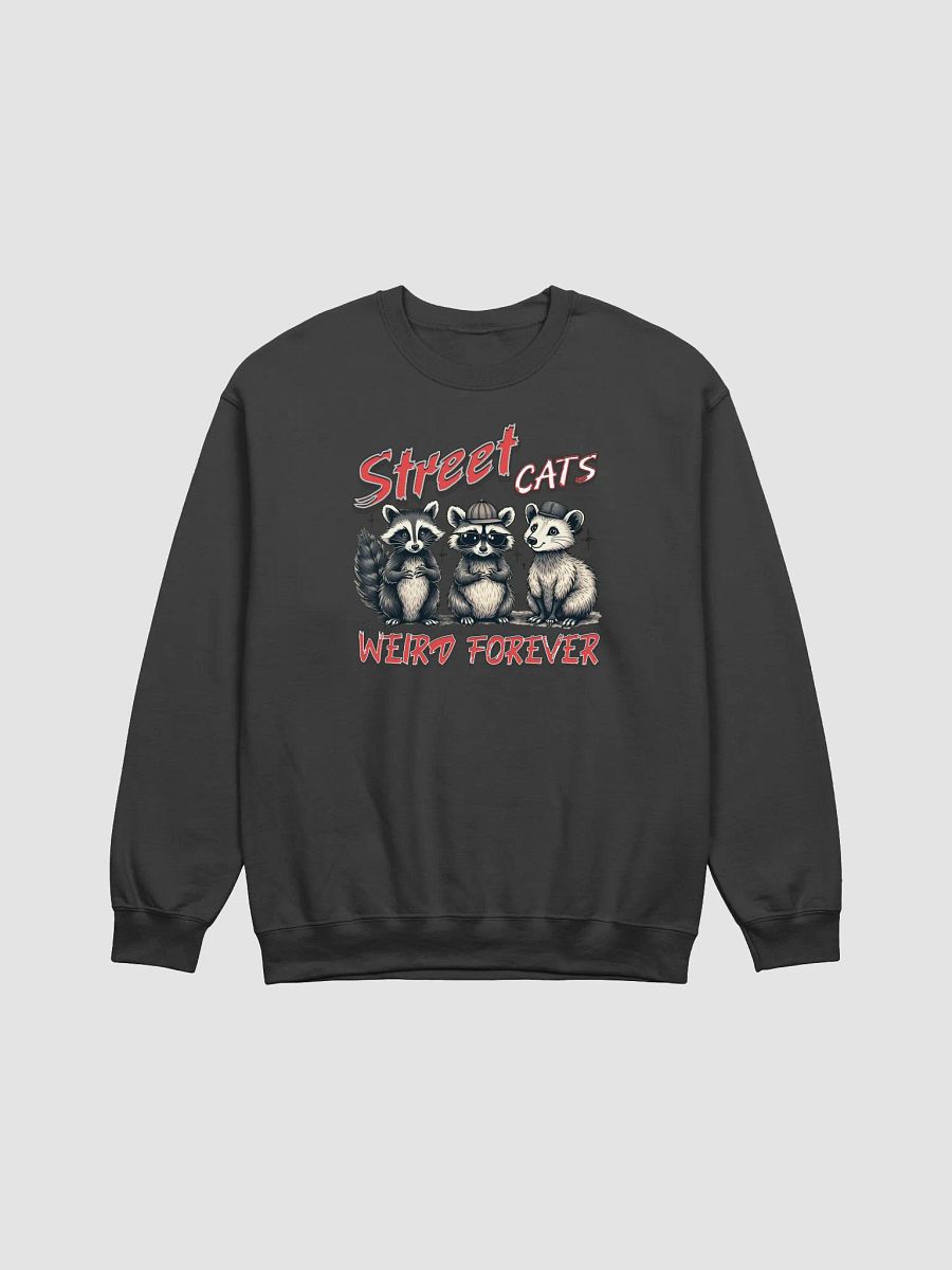 Street Cats Weird Forever Raccoon Crewneck product image (1)