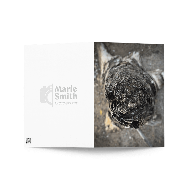 Weathered Wisdom Greeting Card product image (2)