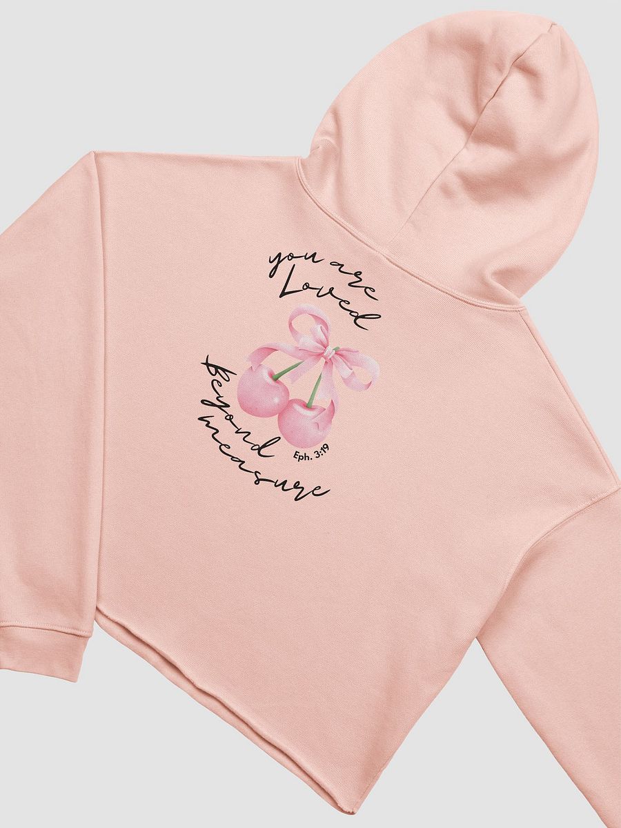 Beyond Measure Bow Hoodie product image (8)