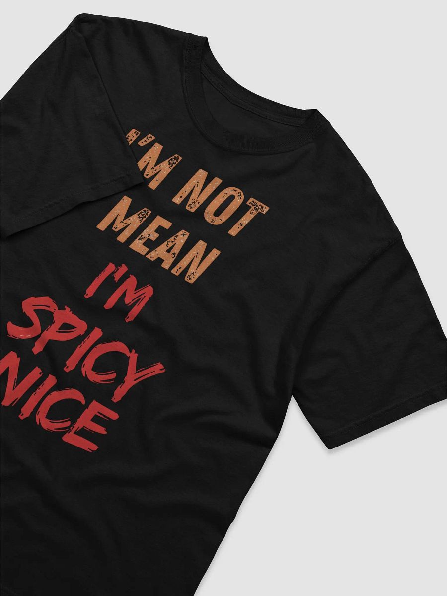 I'm Spicy Nice T-Shirt product image (19)