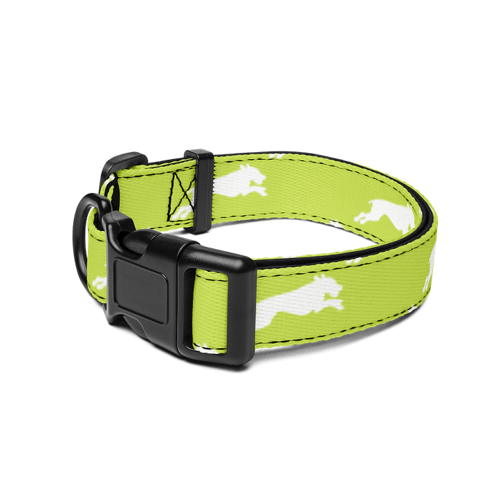 NEW Lemon-Lime Collar product image (2)