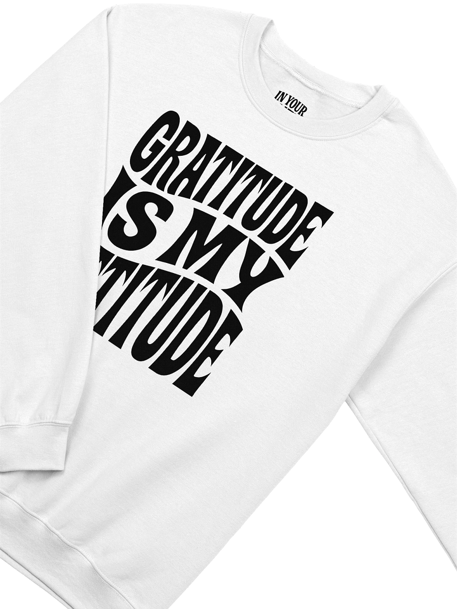 Gratitude Is My Attitude Sweatshirt product image (19)
