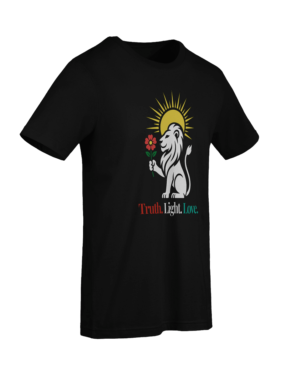 Truth Light Love - T-Shirt (Style 1) product image (9)