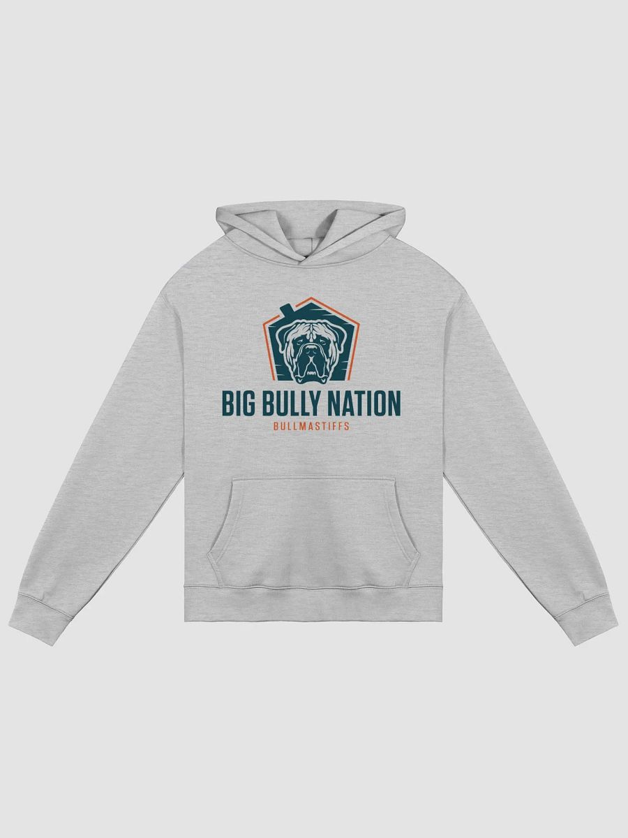 BBN Unisex Oversized Hoodie product image (1)