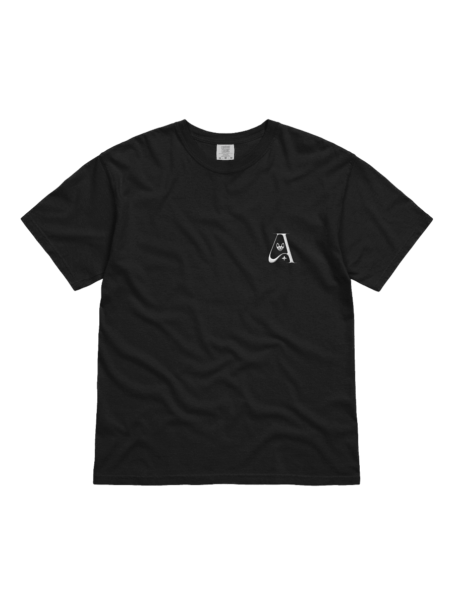 Embroidered Ani Logo T-Shirt product image (38)