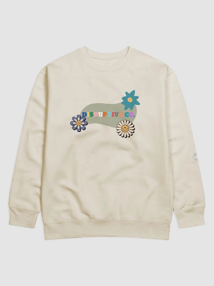 CREATED TO CHANGE product image (2)