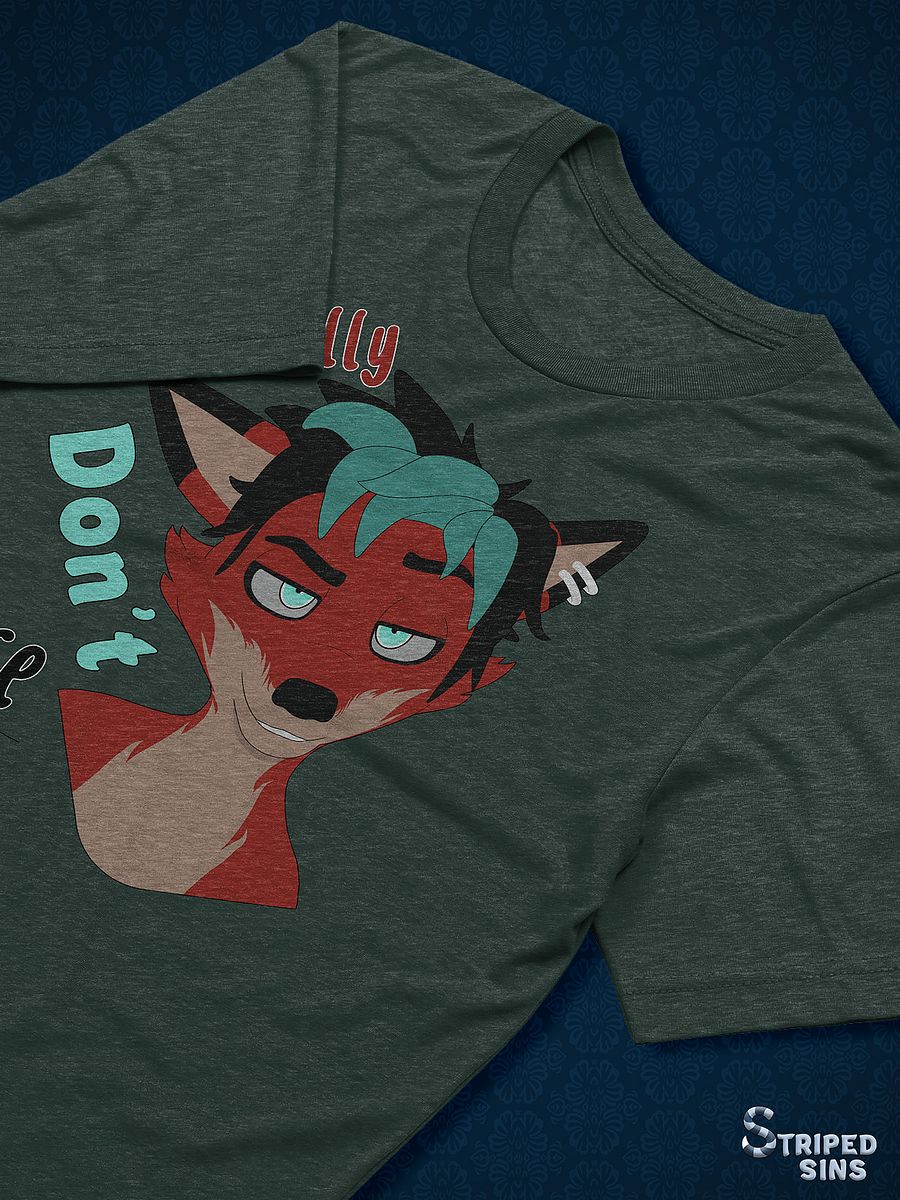 Axel | Triblend T-shirt | Quote #1 product image (1)