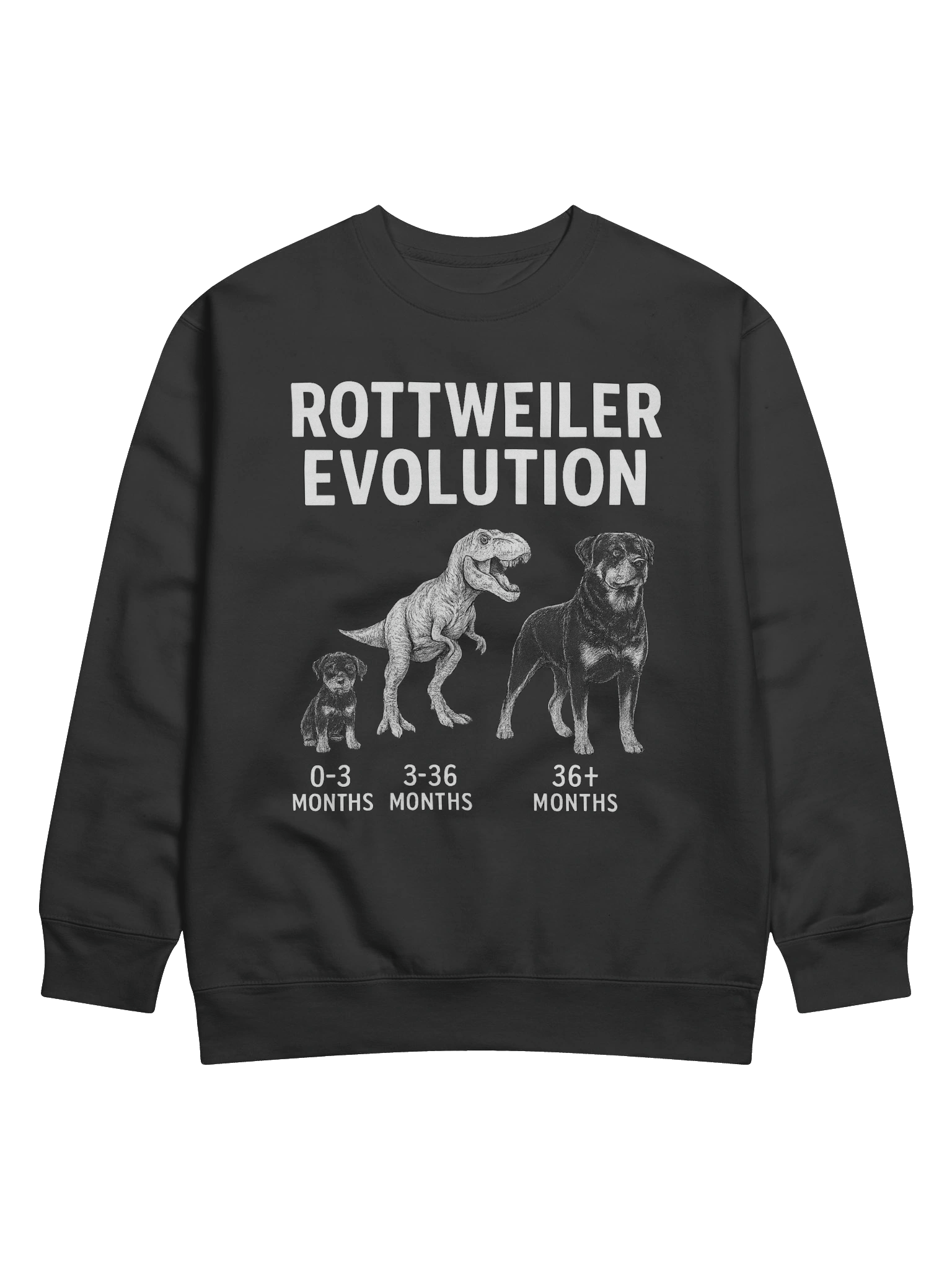 Rottweiler Evolution Premium Sweatshirt product image (1)
