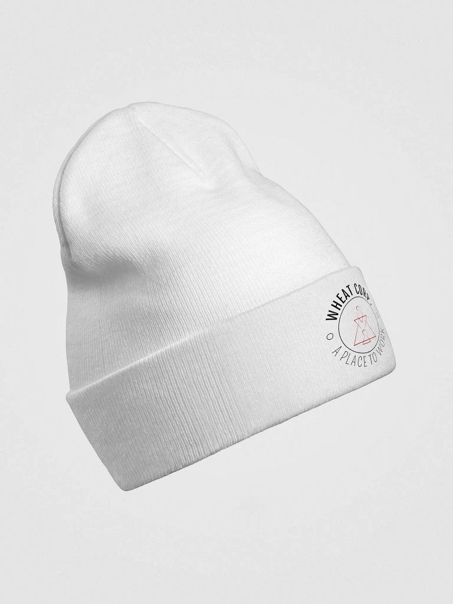 Generic Beanie product image (8)