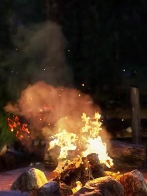 We are so back, folks. “Camp” is nearly ready to reopen, come hang out with me for some fun streams!