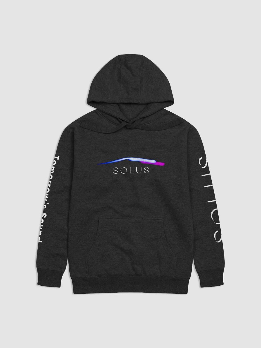 SOLUS EDITION - Heather Hoodie product image (1)