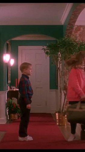 Little did I know, 8-year-old me and adult me would share the same life goals❗

#homealone 
#90smovies
#moviememes
#livingalo...