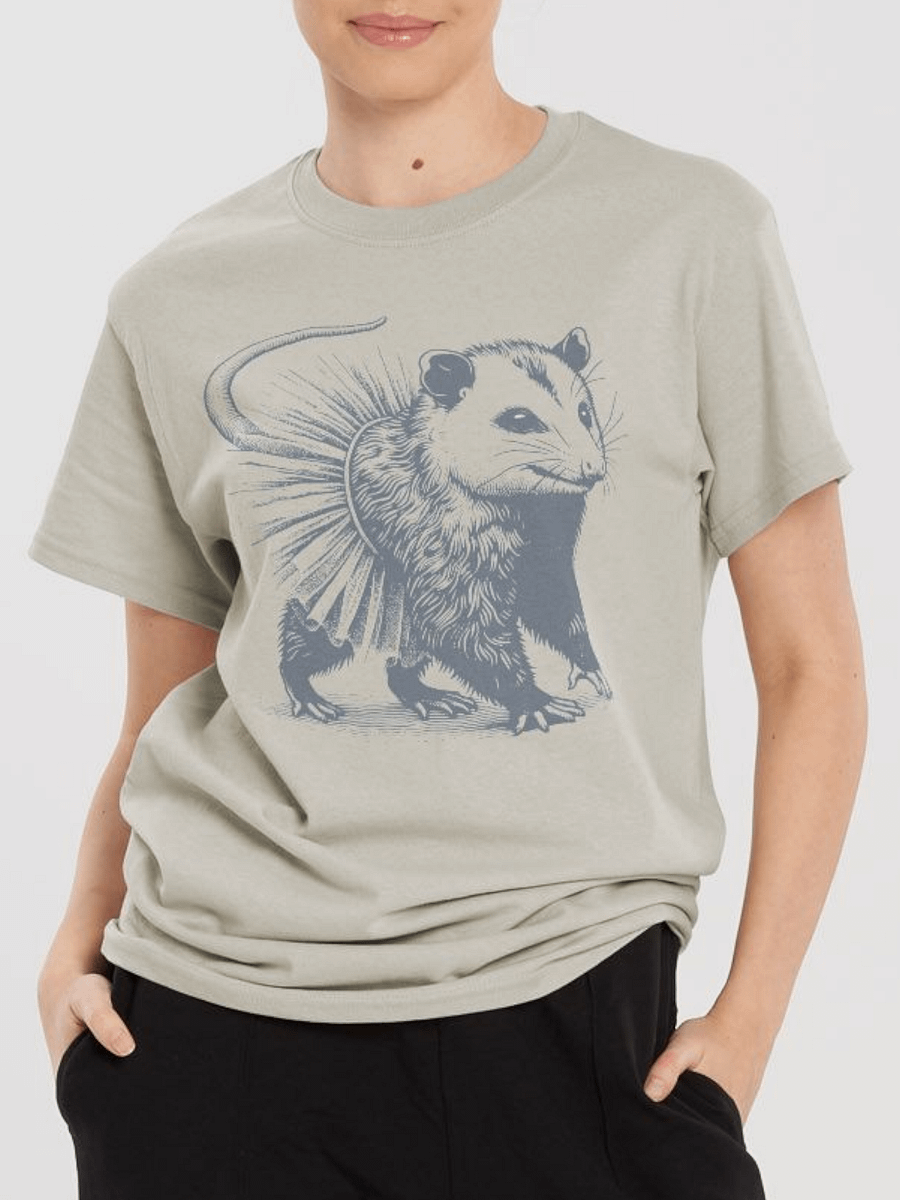 Opossum In Tutu Streetwear Tee product image (2)