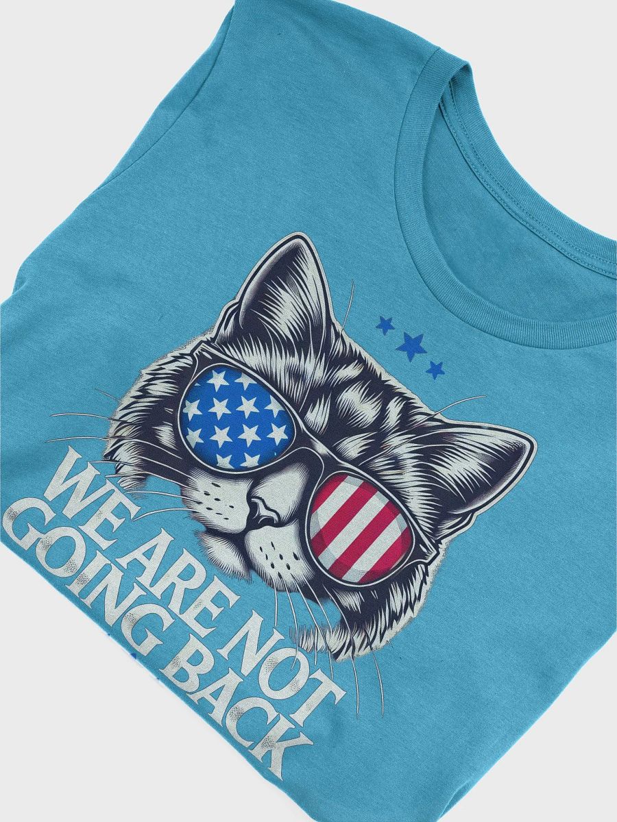 US Election Day 2024 We Are Not Going Back Cat America Flag T-Shirt product image (3)