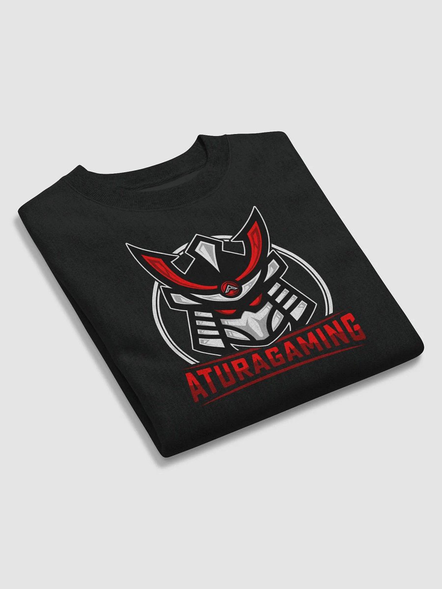 Champion Brand Atura Gaming Sweatshirt product image (6)