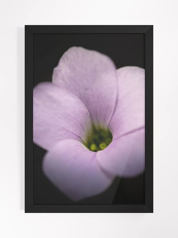 Violet in Black product image (1)