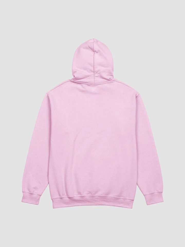 Postal life UNISEX hoodie product image (19)