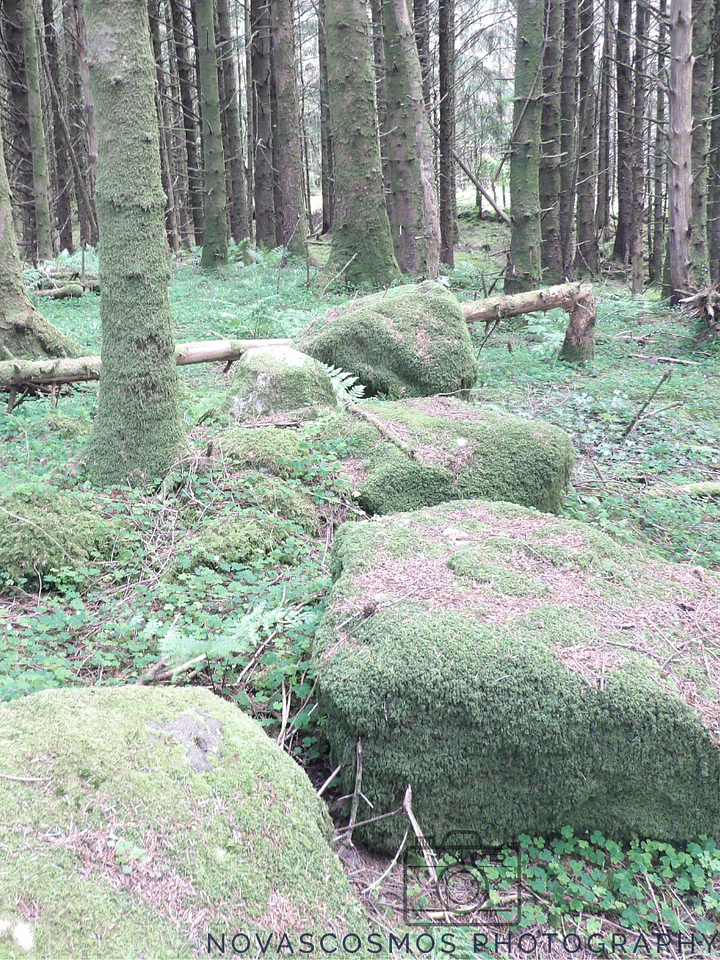Moss meets Ocean (Ireland) product image (1)