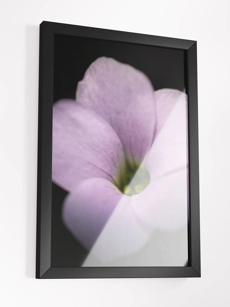 Violet in Black product image (3)
