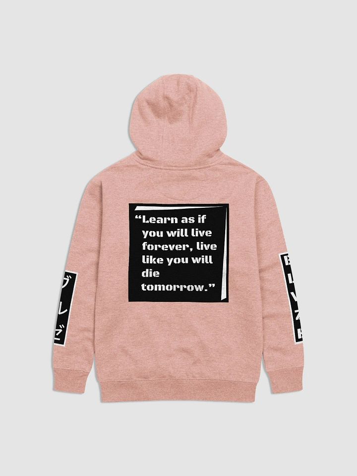 DUSTY ROSE Cotton Heritage Premium Hoodie product image (1)