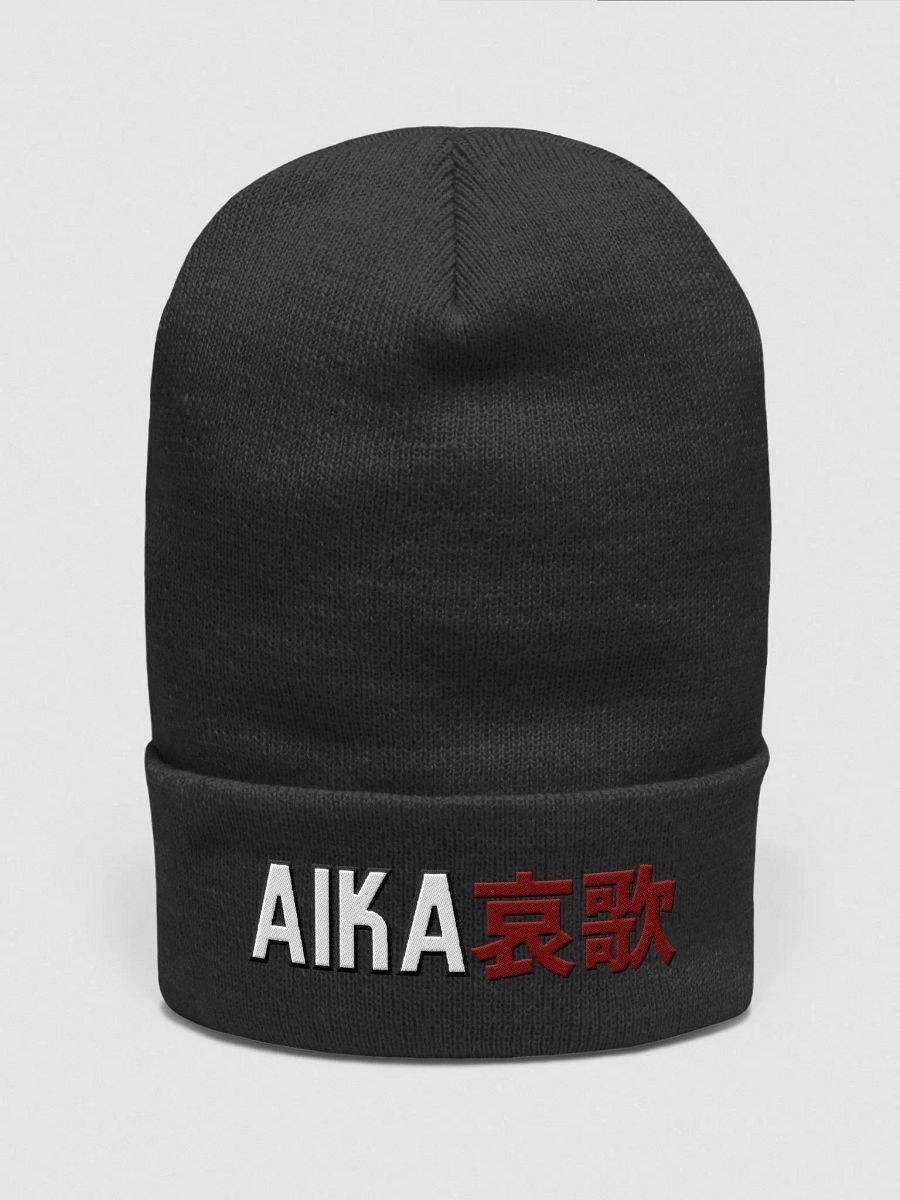 Cuffed Beanie product image (5)