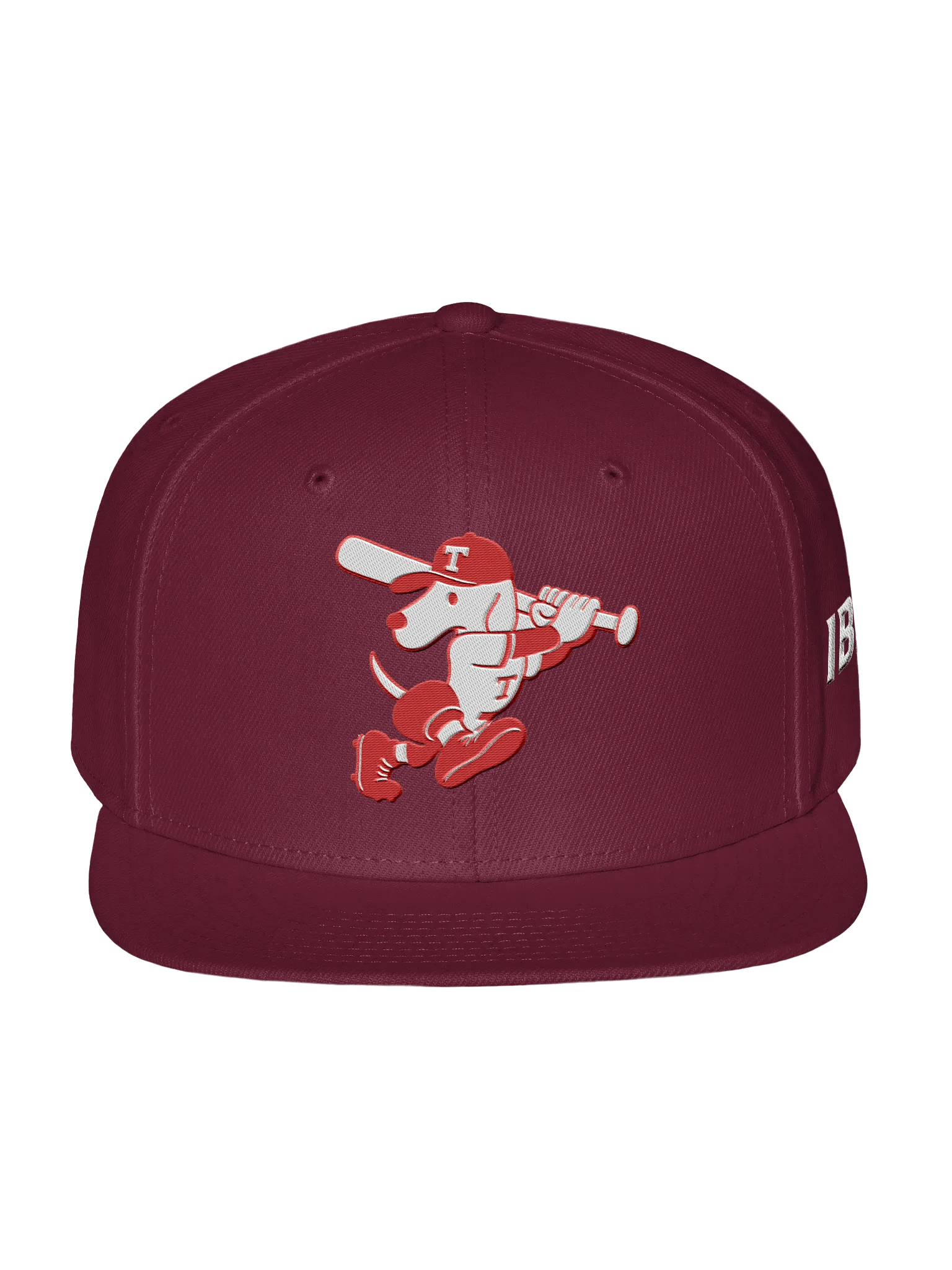 Galt Terriers Legacy Cap product image (6)