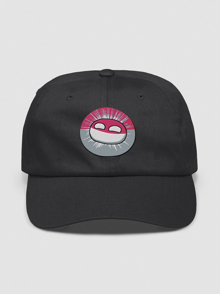 Polandball Official Icon Cap product image (1)
