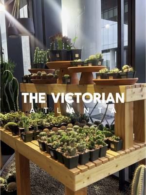 📍 @The Victorian Atlanta - The Beltline A sight to see! 1960s inspired lounge with a relaxed, moody vibe. The lounge overlooks The Victorian Atlanta plant shop which is the source of inspiration for Burle’s Bar. #exploregeorgia #hiddengems #atlanta #exploreatl #poncecitymarket #atlantafoodies #cafes #nature #botanicalgarden 