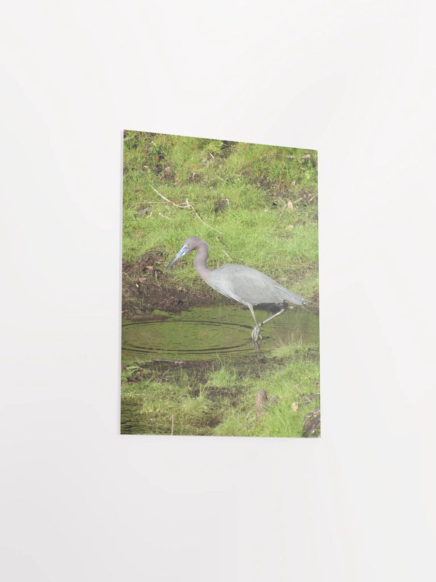 Heron 2 product image (32)