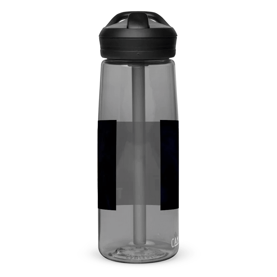 The Discreet water bottle product image (3)