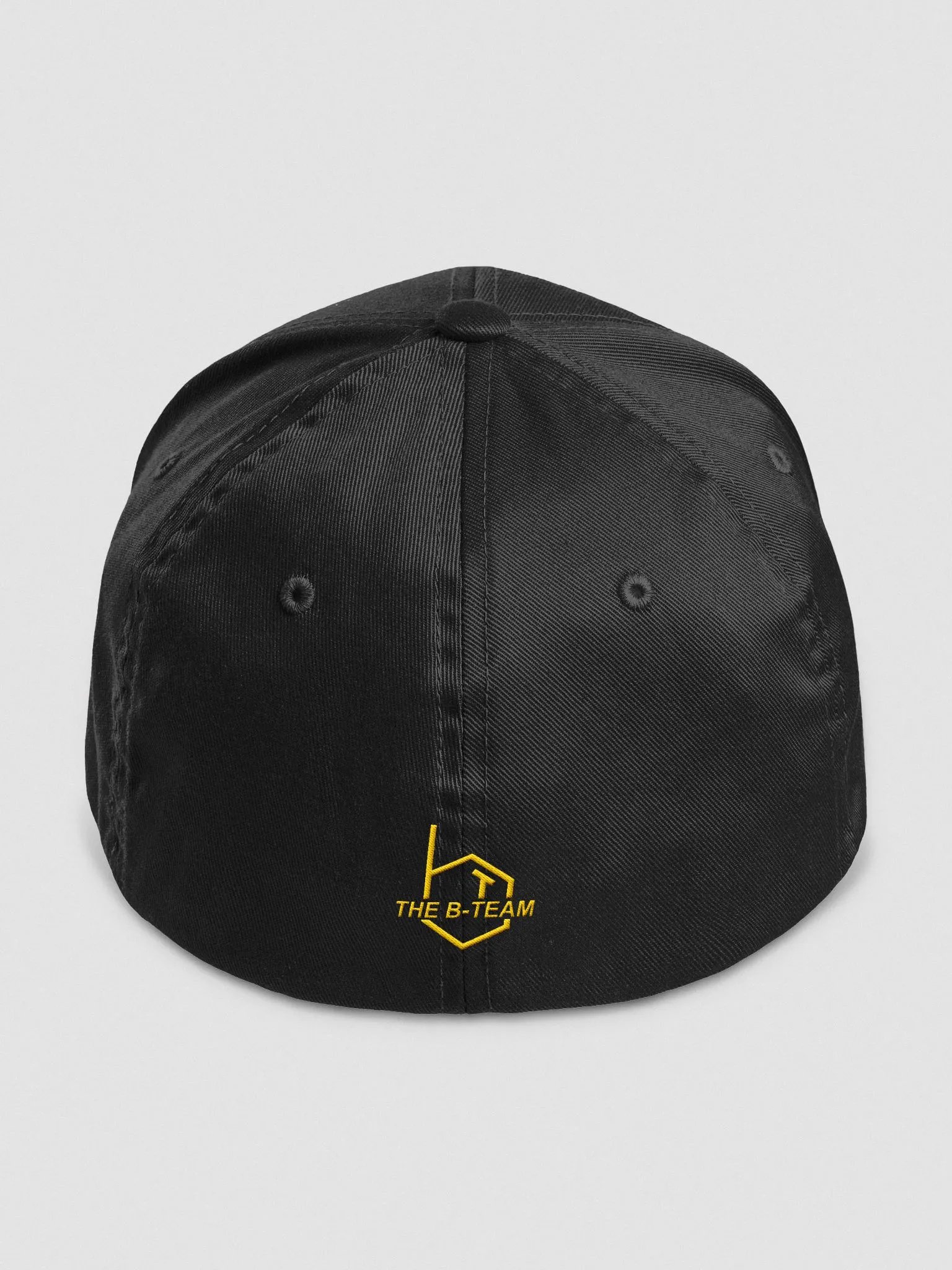 'BT' Logo Flex Fit Hat product image (4)