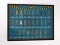 Evolution of German Uniforms (Blue) | Framed w/Front Protector product image (1)