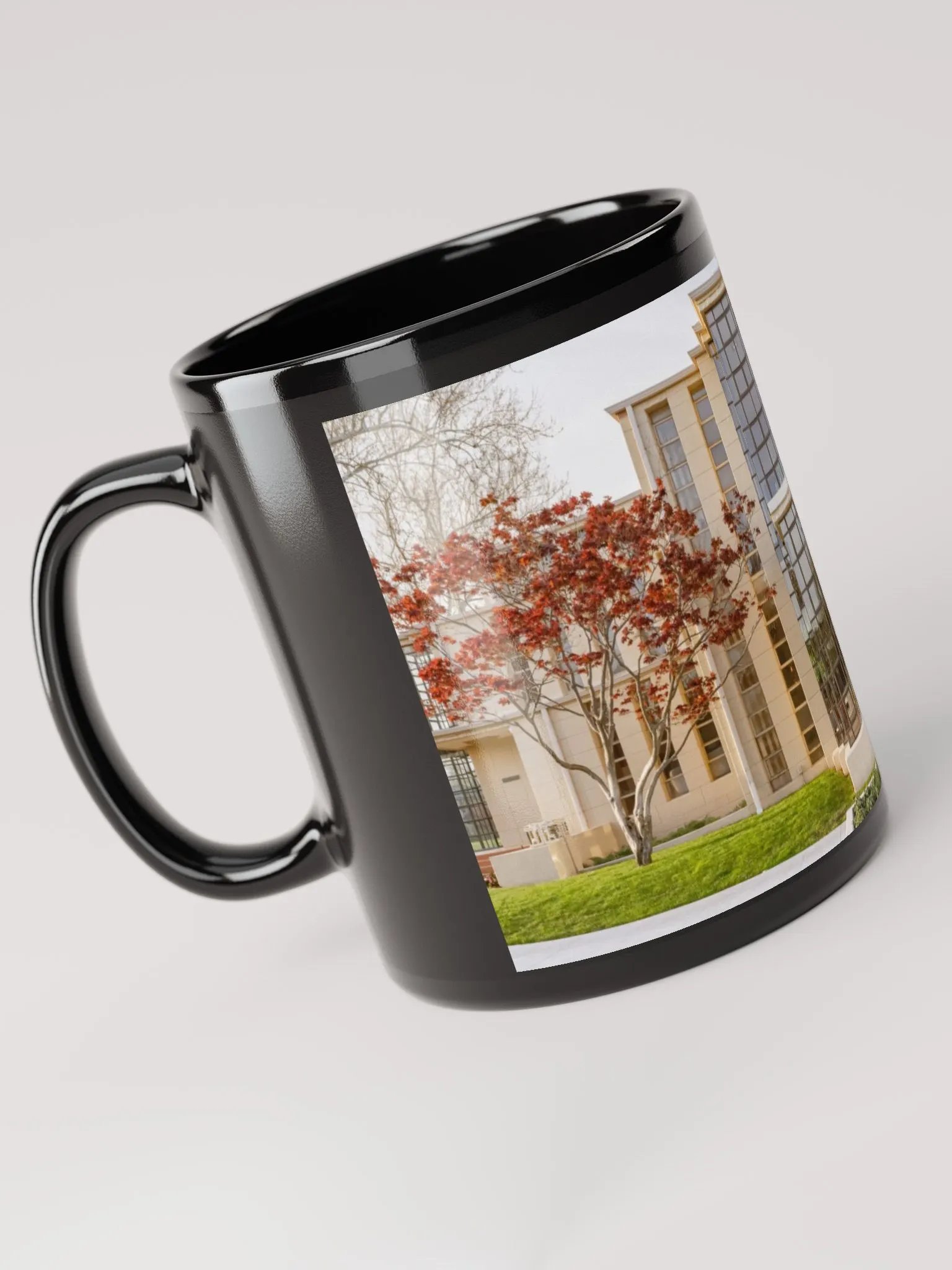 RICHARD LLOYD JONES HOUSE product image (3)